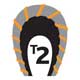 T2